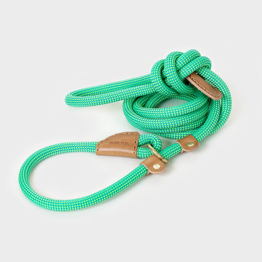 We are Tight All-in-One Leash (Neon Grass) - Howlpot USA