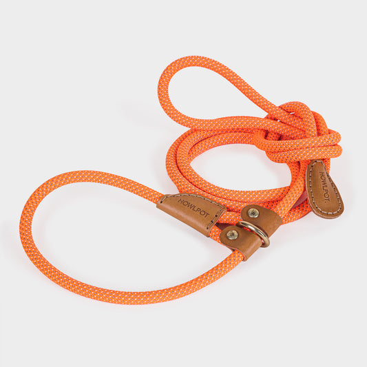 We are Tight All-in-One Leash S (Neon Sunset) - Howlpot USA
