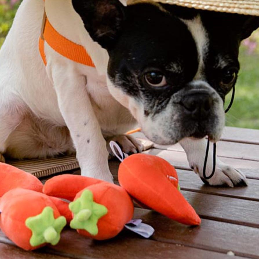 HOWLPOT — HOWLGO Shrimp Crinkle Dog Toy