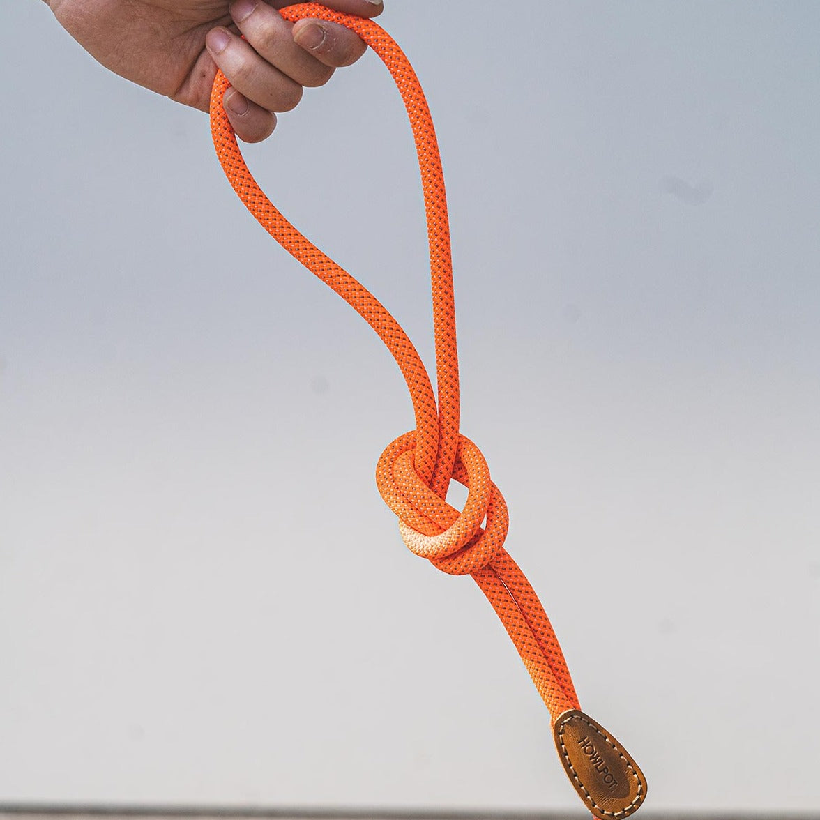 We are Tight All-in-One Leash S (Neon Sunset) - Howlpot USA