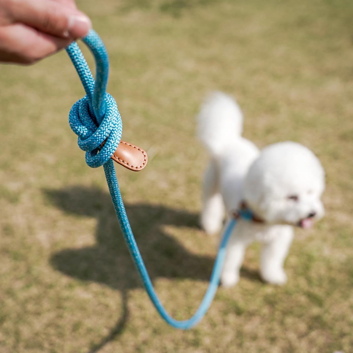 We are Tight All-in-One Leash (Aqua Blue) - Howlpot USA