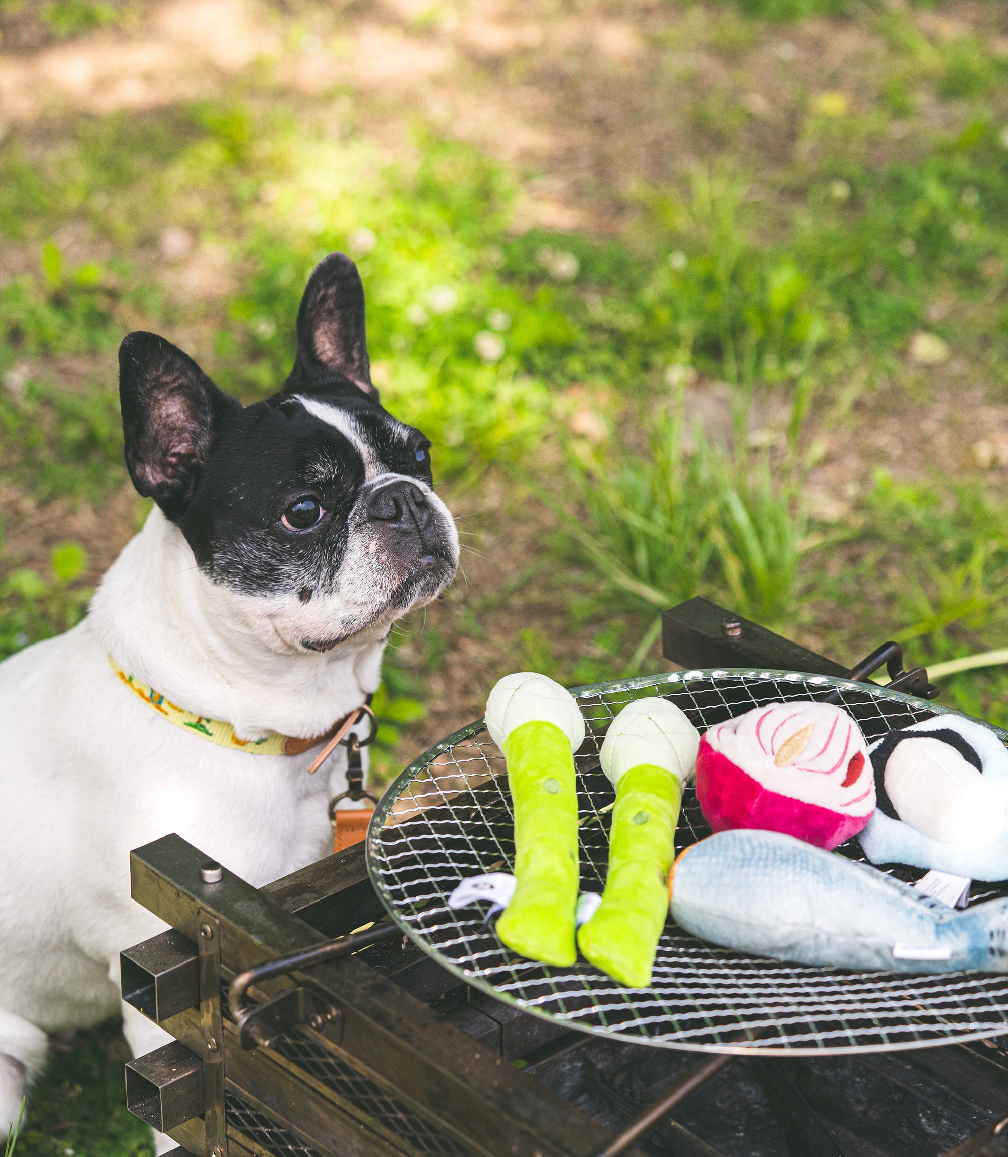 Asparagus dog toy hotsell