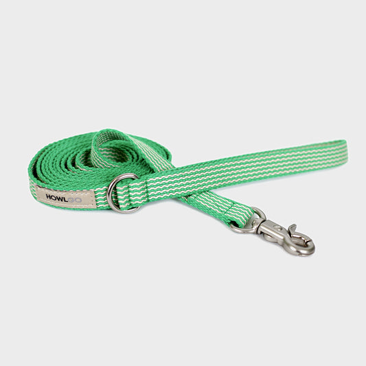 HowlGo Basic Leash - No Adjuster (Green) - Howlpotusa