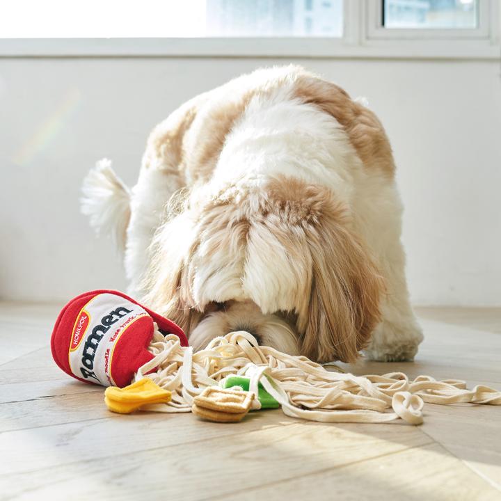 Interactive Ramen Dog Toy Nose Job Noodle Cup Food Medium Small